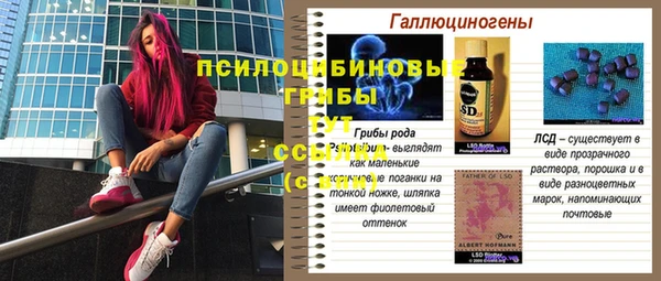 дурь Балахна
