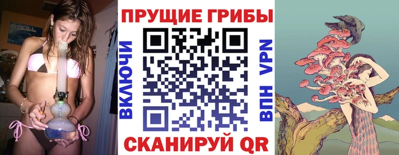 Псилоцибиновые грибы Magic Shrooms  Бийск 